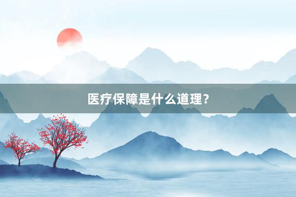 医疗保障是什么道理？